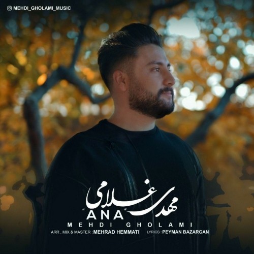 مهدی غلامی آنا